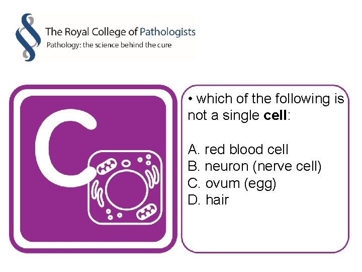  • which of the following is not a single cell: A. red blood