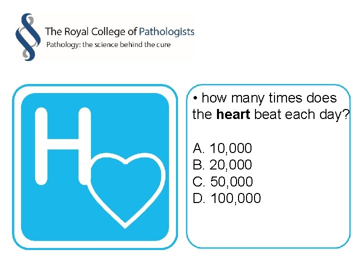  • how many times does the heart beat each day? A. 10, 000