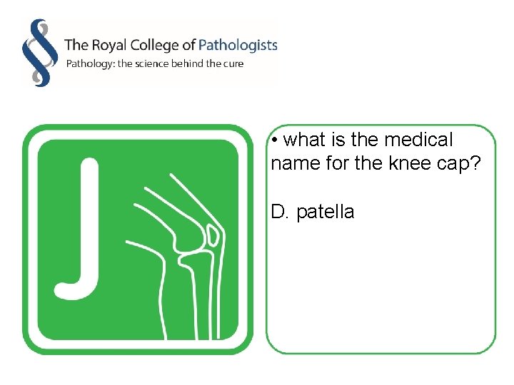  • what is the medical name for the knee cap? D. patella 