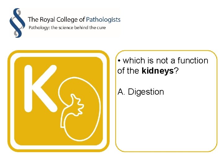  • which is not a function of the kidneys? A. Digestion 