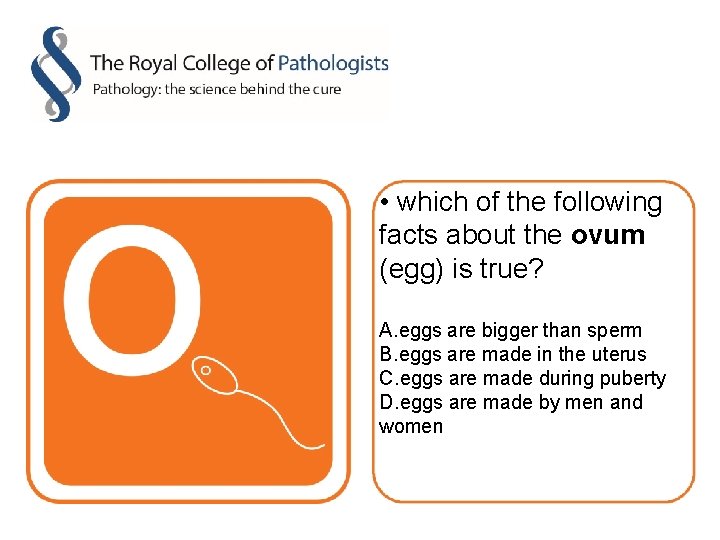  • which of the following facts about the ovum (egg) is true? A.