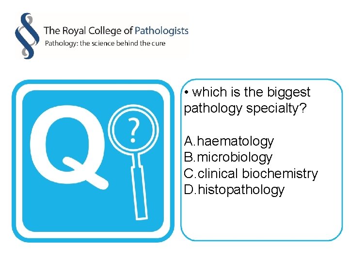  • which is the biggest pathology specialty? A. haematology B. microbiology C. clinical