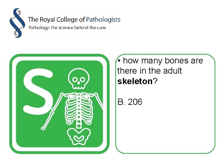  • how many bones are there in the adult skeleton? B. 206 