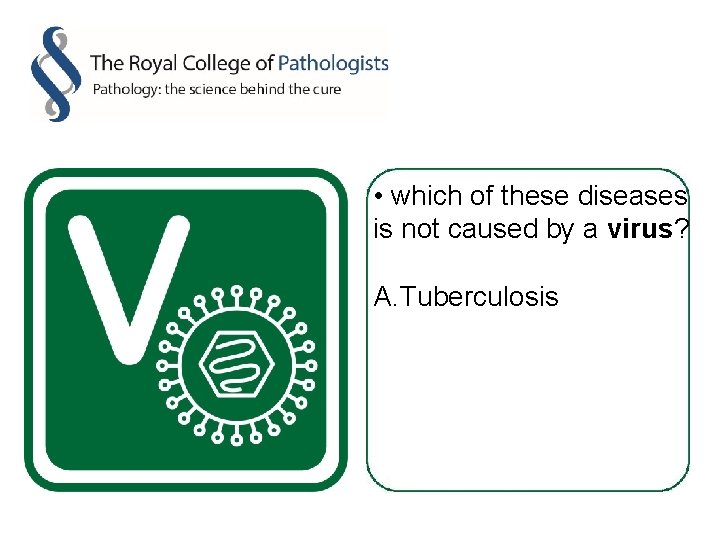  • which of these diseases is not caused by a virus? A. Tuberculosis