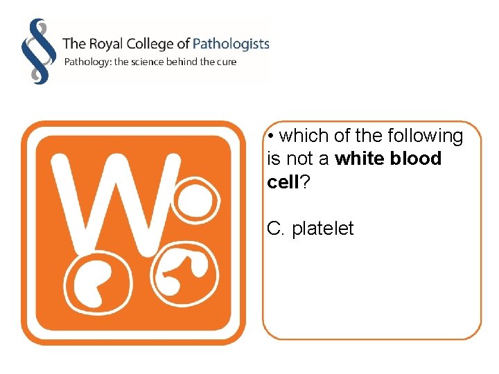  • which of the following is not a white blood cell? C. platelet