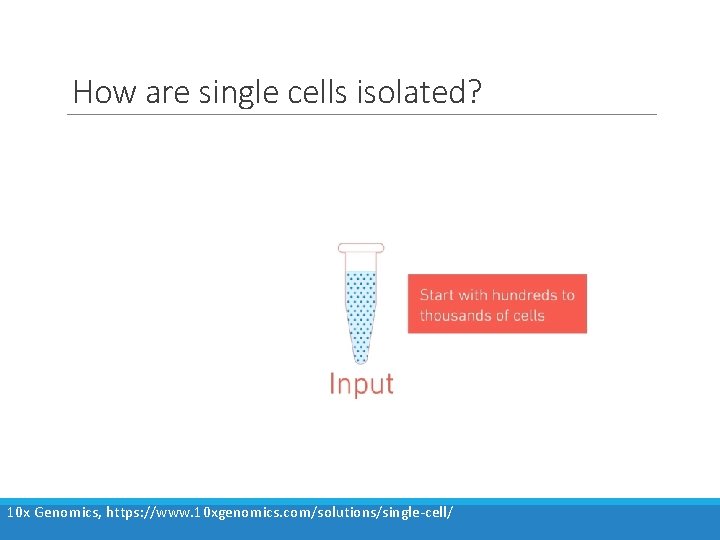 How are single cells isolated? 10 x Genomics, https: //www. 10 xgenomics. com/solutions/single-cell/ 