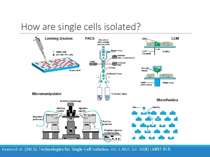 How are single cells isolated? Gross et al. (2015). Technologies for Single-Cell Isolation. Int.