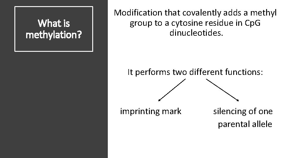 What is methylation? Modification that covalently adds a methyl group to a cytosine residue