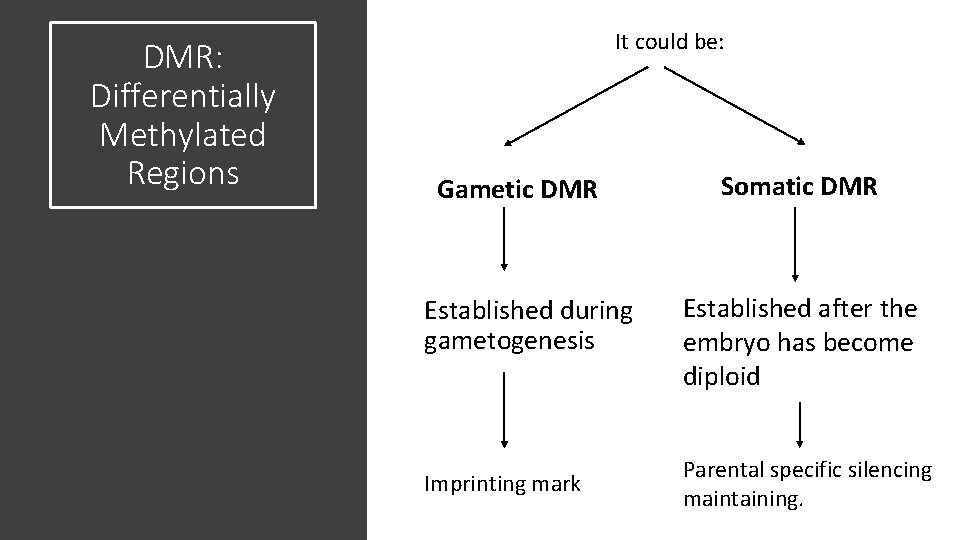 DMR: Differentially Methylated Regions It could be: Gametic DMR Established during gametogenesis Imprinting mark