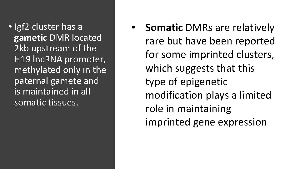  • Igf 2 cluster has a gametic DMR located 2 kb upstream of