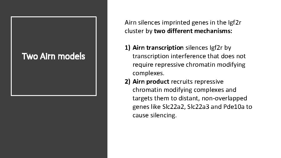 Airn silences imprinted genes in the Igf 2 r cluster by two different mechanisms: