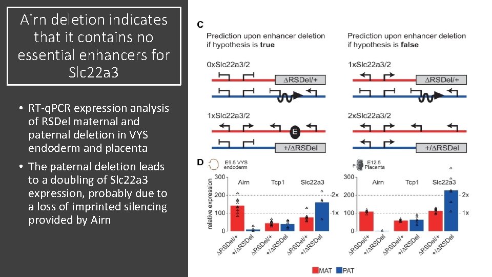 Airn deletion indicates that it contains no essential enhancers for Slc 22 a 3