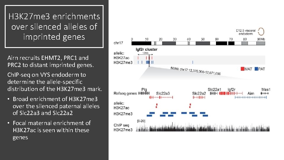 H 3 K 27 me 3 enrichments over silenced alleles of imprinted genes Airn