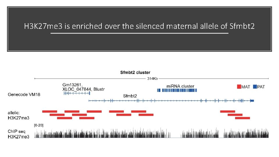 H 3 K 27 me 3 is enriched over the silenced maternal allele of