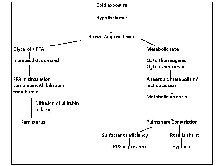 Cold exposure Hypothalamus Brown Adipose tissue Glycerol + FFA Metabolic rate Increased 02 demand