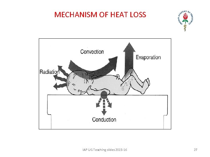 MECHANISM OF HEAT LOSS IAP UG Teaching slides 2015 -16 27 