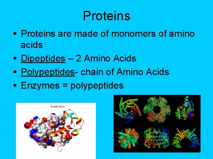 Proteins § Proteins are made of monomers of amino acids § Dipeptides – 2
