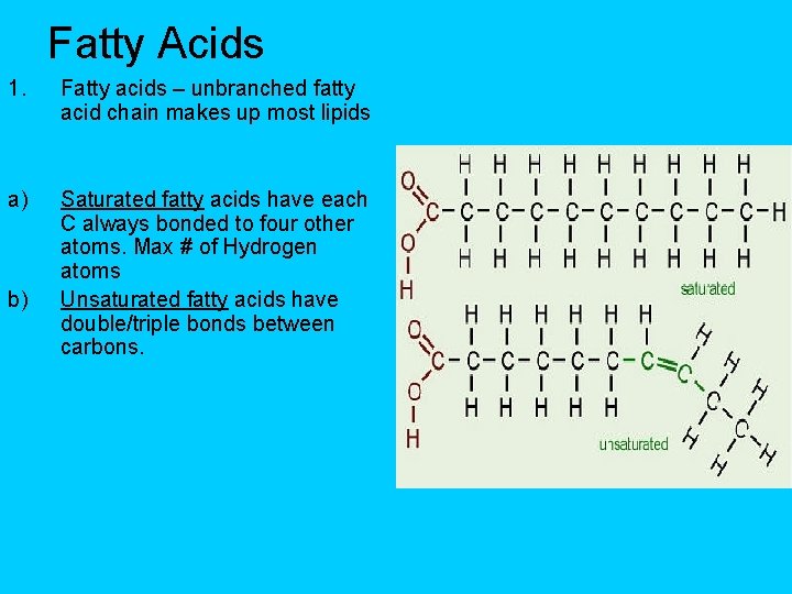 Fatty Acids 1. Fatty acids – unbranched fatty acid chain makes up most lipids