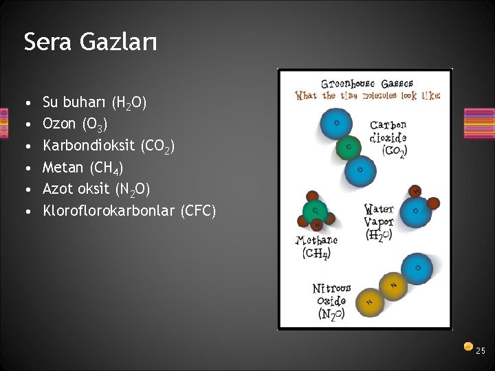 Sera Gazları • • • Su buharı (H 2 O) Ozon (O 3) Karbondioksit