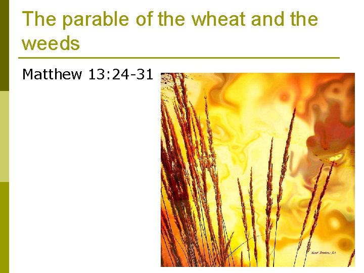 The parable of the wheat and the weeds Matthew 13: 24 -31 