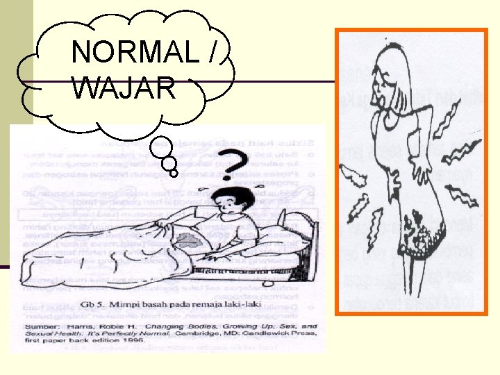 NORMAL / WAJAR 