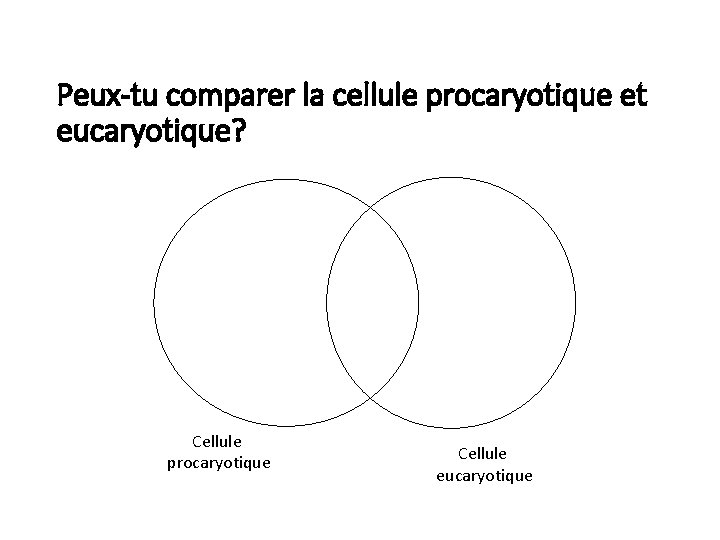 Peux-tu comparer la cellule procaryotique et eucaryotique? Cellule procaryotique Cellule eucaryotique 