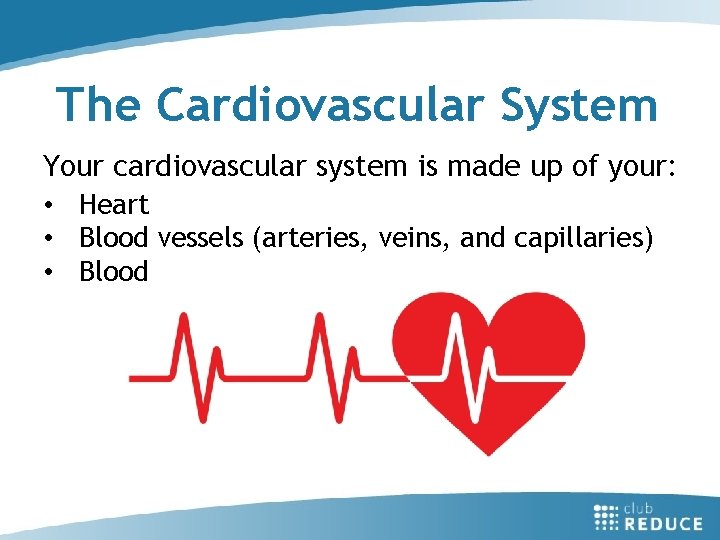 The Cardiovascular System Your cardiovascular system is made up of your: • Heart •