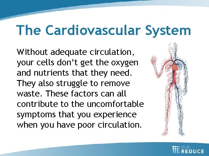 The Cardiovascular System Without adequate circulation, your cells don’t get the oxygen and nutrients