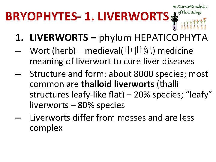 BRYOPHYTES- 1. LIVERWORTS Art/Science/Knowledge of Plant Biology 1. LIVERWORTS – phylum HEPATICOPHYTA – Wort