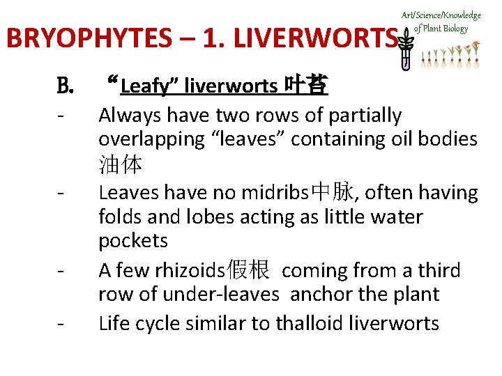 BRYOPHYTES – 1. LIVERWORTS Art/Science/Knowledge of Plant Biology B. “Leafy” liverworts 叶苔 - Always