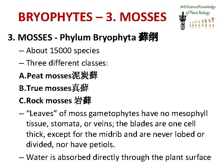 BRYOPHYTES – 3. MOSSES Art/Science/Knowledge of Plant Biology 3. MOSSES - Phylum Bryophyta 藓纲