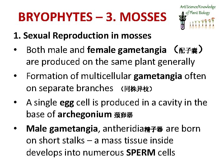 BRYOPHYTES – 3. MOSSES Art/Science/Knowledge of Plant Biology 1. Sexual Reproduction in mosses •