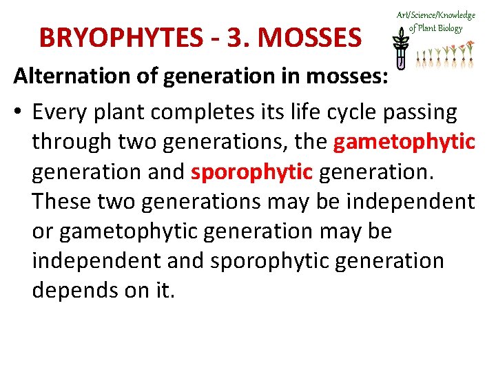 BRYOPHYTES - 3. MOSSES Art/Science/Knowledge of Plant Biology Alternation of generation in mosses: •