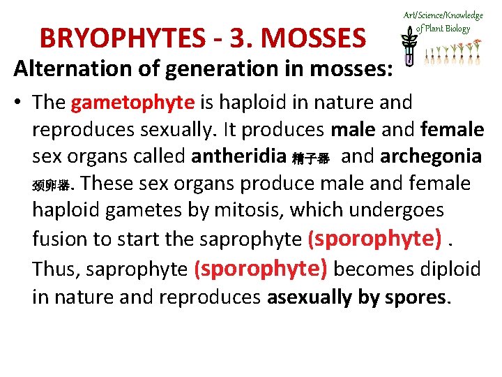 BRYOPHYTES - 3. MOSSES Art/Science/Knowledge of Plant Biology Alternation of generation in mosses: •