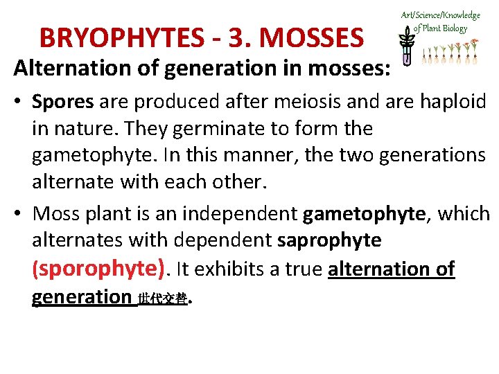 BRYOPHYTES - 3. MOSSES Art/Science/Knowledge of Plant Biology Alternation of generation in mosses: •