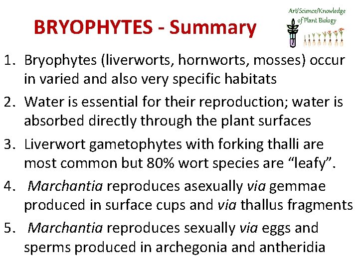 BRYOPHYTES - Summary Art/Science/Knowledge of Plant Biology 1. Bryophytes (liverworts, hornworts, mosses) occur in