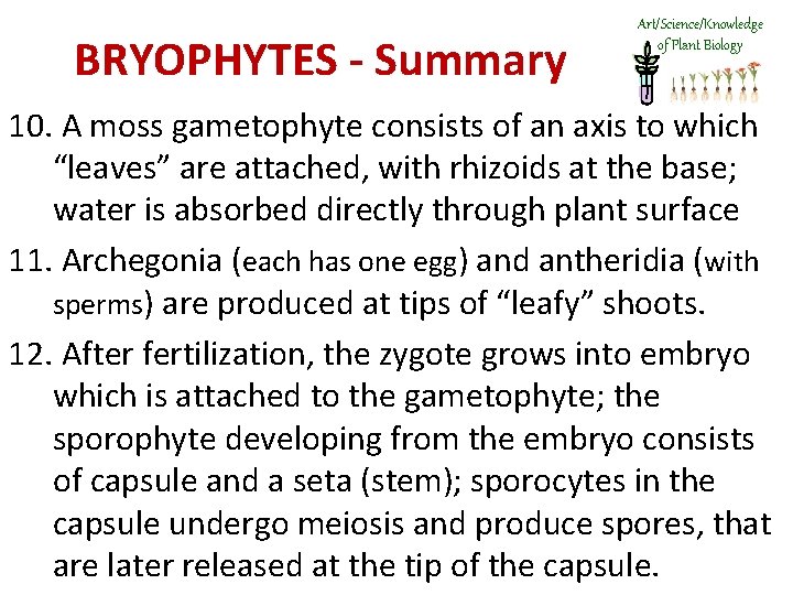 BRYOPHYTES - Summary Art/Science/Knowledge of Plant Biology 10. A moss gametophyte consists of an