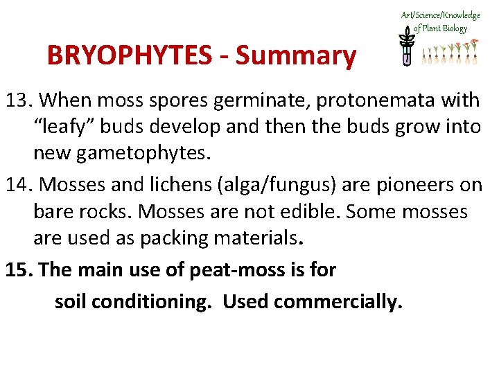 Art/Science/Knowledge of Plant Biology BRYOPHYTES - Summary 13. When moss spores germinate, protonemata with