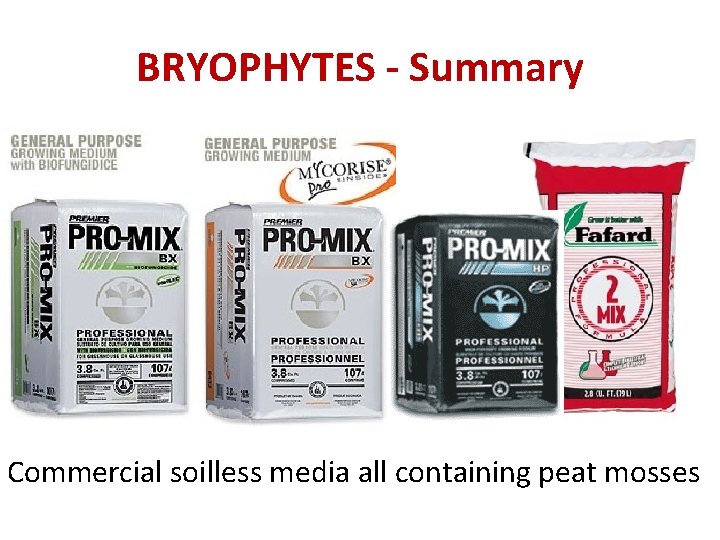 BRYOPHYTES - Summary Commercial soilless media all containing peat mosses 