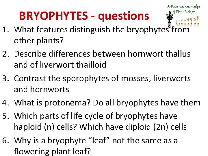 BRYOPHYTES - questions Art/Science/Knowledge of Plant Biology 1. What features distinguish the bryophytes from