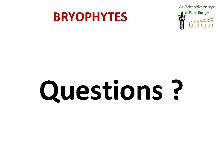 BRYOPHYTES Art/Science/Knowledge of Plant Biology Questions ? 