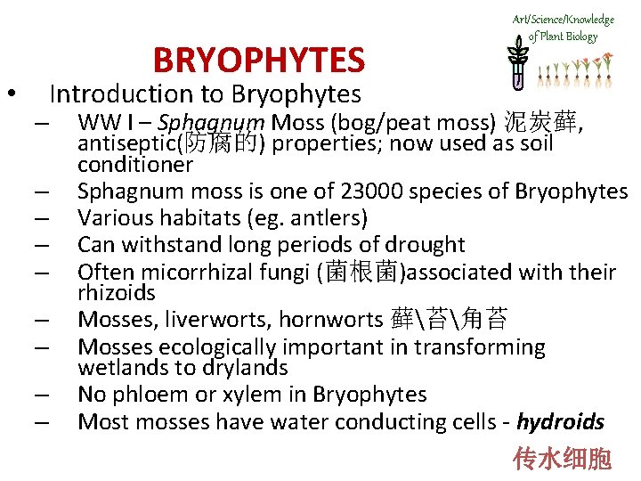  • BRYOPHYTES – – – – – Art/Science/Knowledge of Plant Biology Introduction to