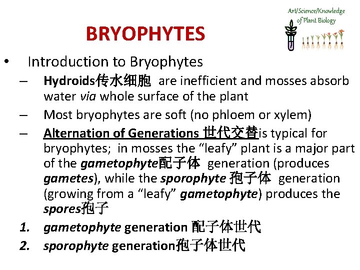 BRYOPHYTES Art/Science/Knowledge of Plant Biology Introduction to Bryophytes • Hydroids传水细胞 are inefficient and mosses