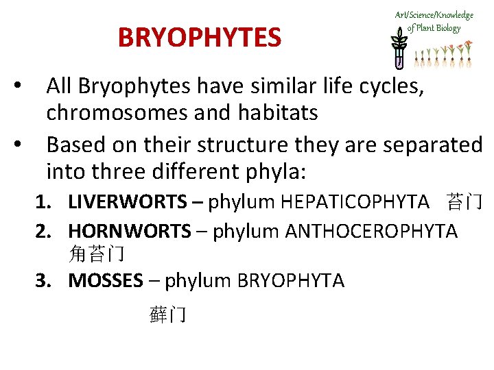 BRYOPHYTES Art/Science/Knowledge of Plant Biology • All Bryophytes have similar life cycles, chromosomes and