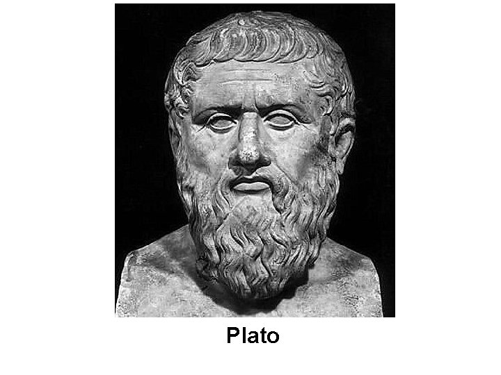 Plato 