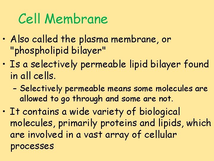 Cell Membrane • Also called the plasma membrane, or "phospholipid bilayer" • Is a
