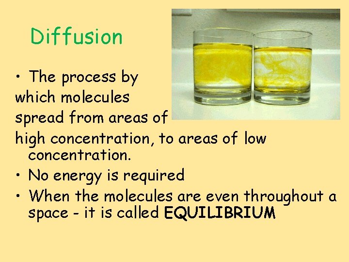 Diffusion • The process by which molecules spread from areas of high concentration, to