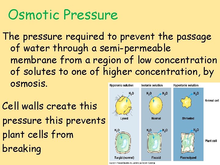 Osmotic Pressure The pressure required to prevent the passage of water through a semi-permeable