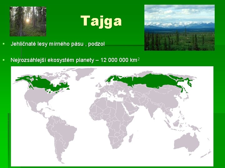 Tajga § Jehličnaté lesy mírného pásu , podzol § Nejrozsáhlejší ekosystém planety – 12