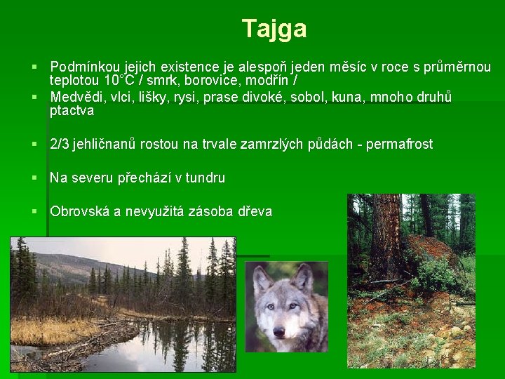 Tajga § Podmínkou jejich existence je alespoň jeden měsíc v roce s průměrnou teplotou